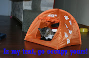 More Occupy LOL cats. Posted by KaliMyst at 9:15 AM