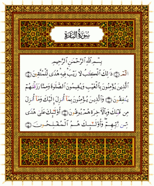 Quran Collection: Holy Quran - Arabic With Tajweed