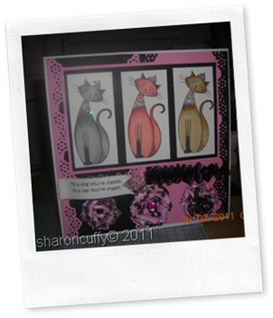 Pampered pets pampered pets range