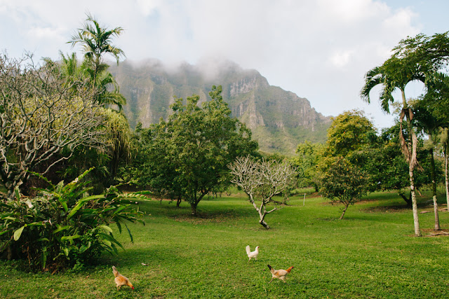 kualoa ranch wedding 