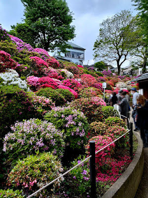 根津神社