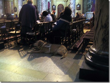 Holy Dog