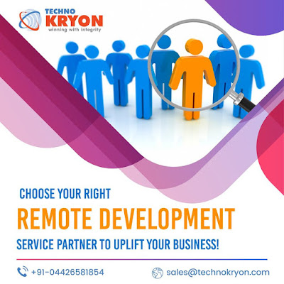 Remote Development Service - Techno Kryon