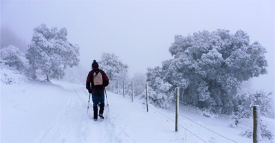 Estampa invernal en el monte Cuervo (Arrieta)