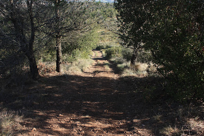 CABRA DEL CAMP-COLL DE SÀRRIA-ROC DEL COGULLÓ-EL COGULLÓ-PUIG DE COMAVERD-COLL DE VALLS, camí a la sortida del Cim del Cogulló