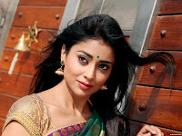 Shriya Saran Latest Hot Stills in Pavitra Movie