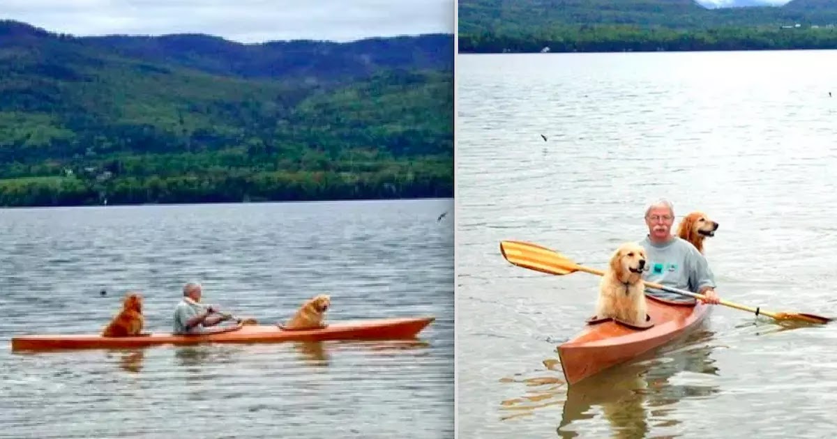 Man Builds Customised Kayak To Fit His Dogs