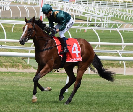 bd prelude_colts_pariah 4