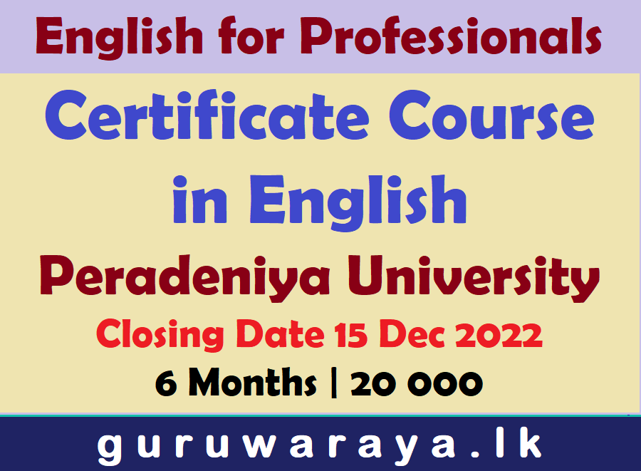 English for Professionals: Certificate Course in English