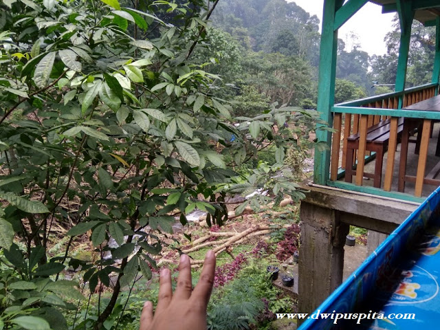 Wisata Air Terjun Dlundung trawas mojokerto