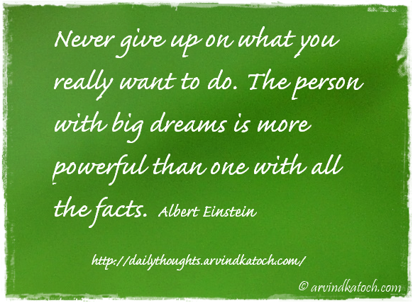 Daily Thought, Motivational, Albert Einstein, Never Give Up