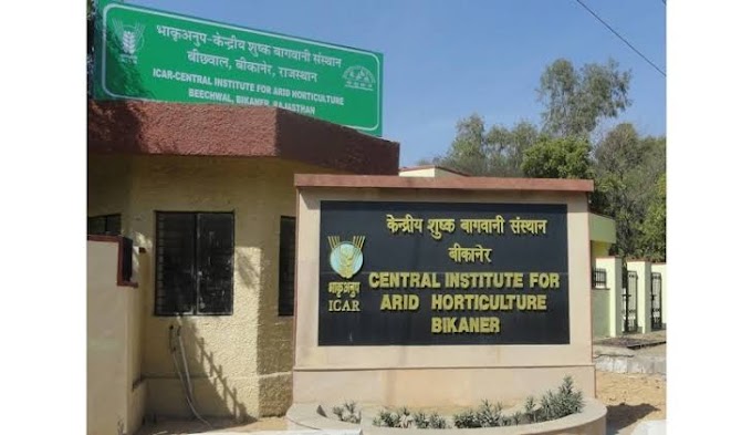 Research Associate | CIAH - Bikaner, Rajasthan