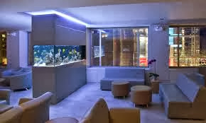 Penempatan Aquarium  Menurut Feng  Shui  rumah  idamanku