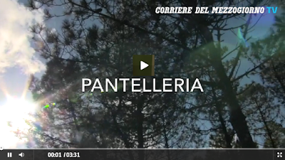 http://video.corrieredelmezzogiorno.corriere.it/pantelleria-nuovi-alberi-il-rogo-maggio-li-piantano-studenti/57c120ae-aa4e-11e6-a1c5-073381ca21f5