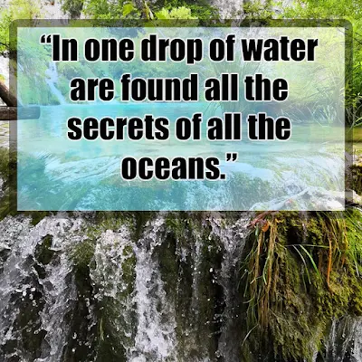 Water quotes quotes about nature and water