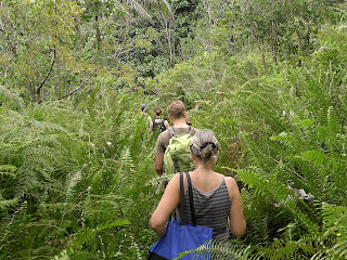 Kuba, Baracoa, Alexander-Humboldt-Nationalpark, im Gänsemarsch auf schmalen Pfaden durch den Regenwald.