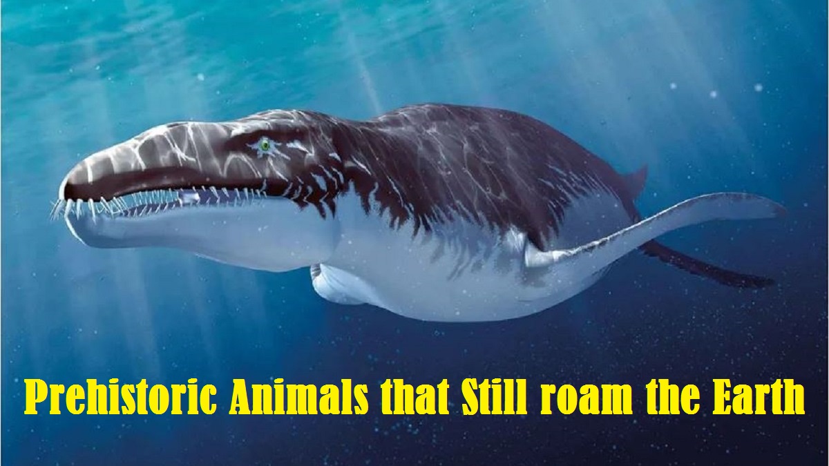 PREHISTORIC ANIMALS THAT STILL ROAM THE EARTH