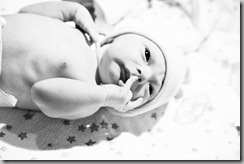 IMG_1498 copy