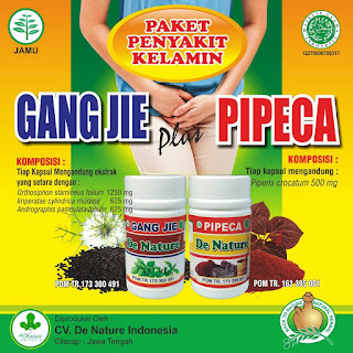 Obat sipilis alam alami