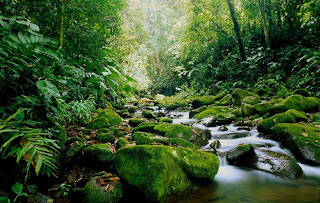 Beauty of Costa Rica Seen On lolpicturegallery.blogspot.com