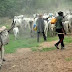 Two herdsmen allegedly killed in Umuoba-Anam community, Anambra, boy’s ear chopped off in Enugu