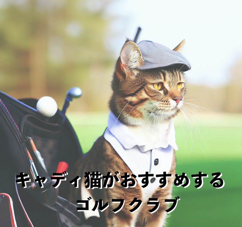 猫キャディ