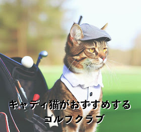 猫キャディ