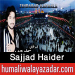 http://www.humaliwalayazadar.com/2016/06/sajjad-haider-nohay-2015-to-2017.html