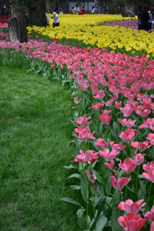 Zhongshan Park Beijing