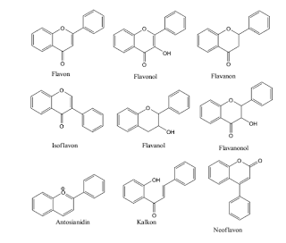 Hasil gambar untuk klasifikasi flavonoid berdasarkan strukturnya