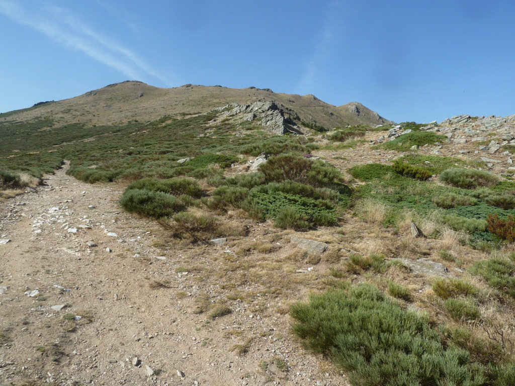 PICO DEL LOBO (2.274m) y Alto de las Mesas, 2.257m (La cúspi P1230723%20%28FILEminimizer%29