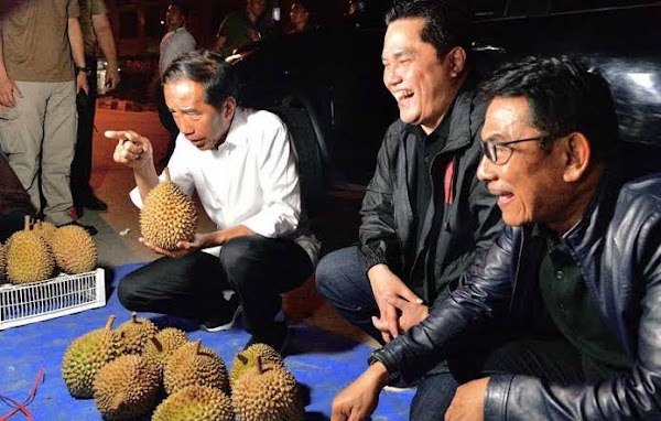 Cerita Jokowi Tertipu Tampilan Durian: Beli Mahal, Dibuka Enggak Enak