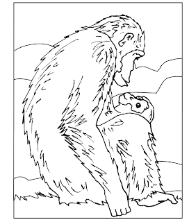 animal coloring pages, kids coloring pages