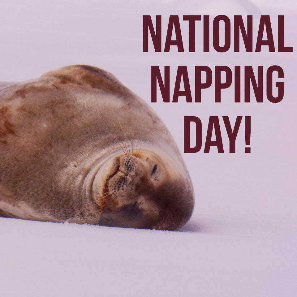 National Napping Day Wishes Photos