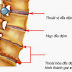 Thoái hóa cột sống ở người già và cách chữa