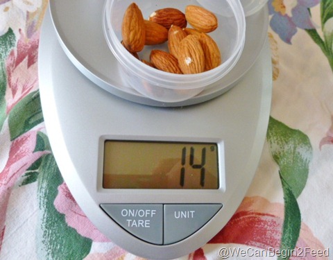 Jan 13 food scale 006