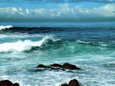 El Poder del Oceano