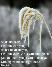 do not fear, inspiring verse, bible verse, God's word, http://bec4-beyondthepicketfence.blogspot.com/2015/11/sunday-verses_14.html