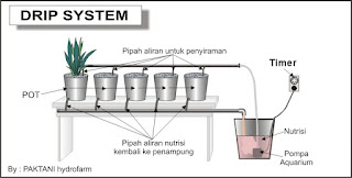 Drip Irigation Sistem