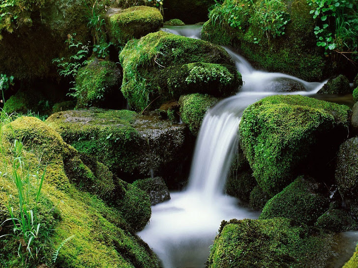 Natureza... A Fonte da Vida!!!