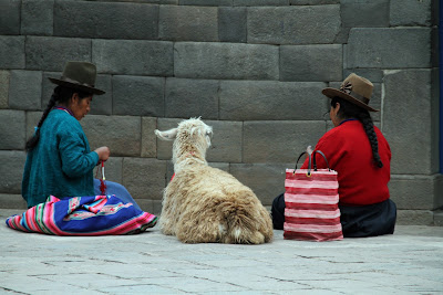 En Cusco, Perú, se suele ofrecer a los turistas hacerse fotos con llamas.