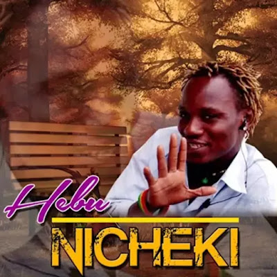 Download Audio Mp3 | O Ten - Hebu Nicheki