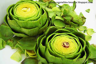 benefits_of_eating_artichokes_fruits-vegetables-benefitsblogspot.com(12)