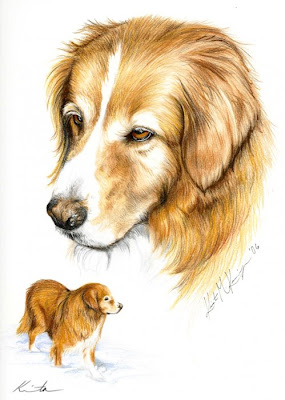 dog drawings
