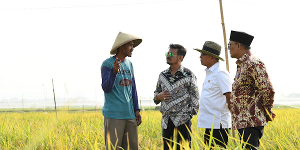 Bareng Mentan SYL Panen di Karawang, Moeldoko Bahas Keunggulan Padi Varietas M70D