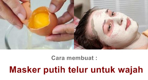 kegunaan telur untuk wajah