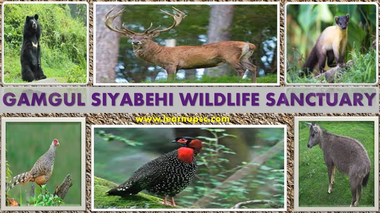 Gamgul Siyabehi Wildlife Sanctuary