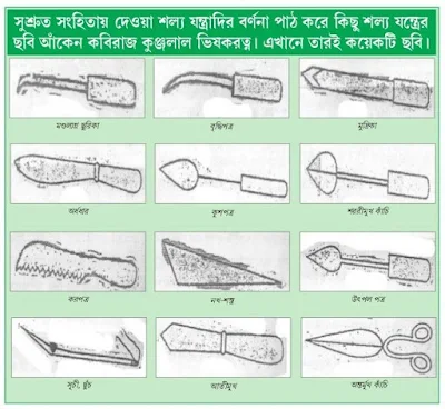 Sushruta Surgical instruments