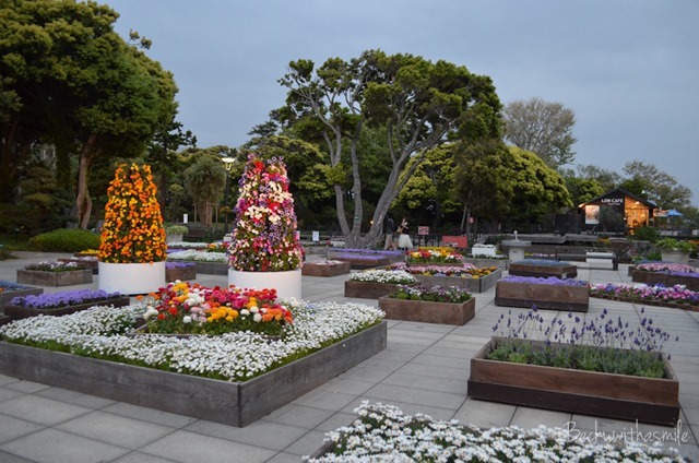 2013-05-01 Tokyo 032
