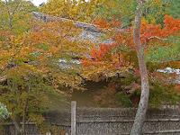 「春遊亭・上の茶屋」と紅葉